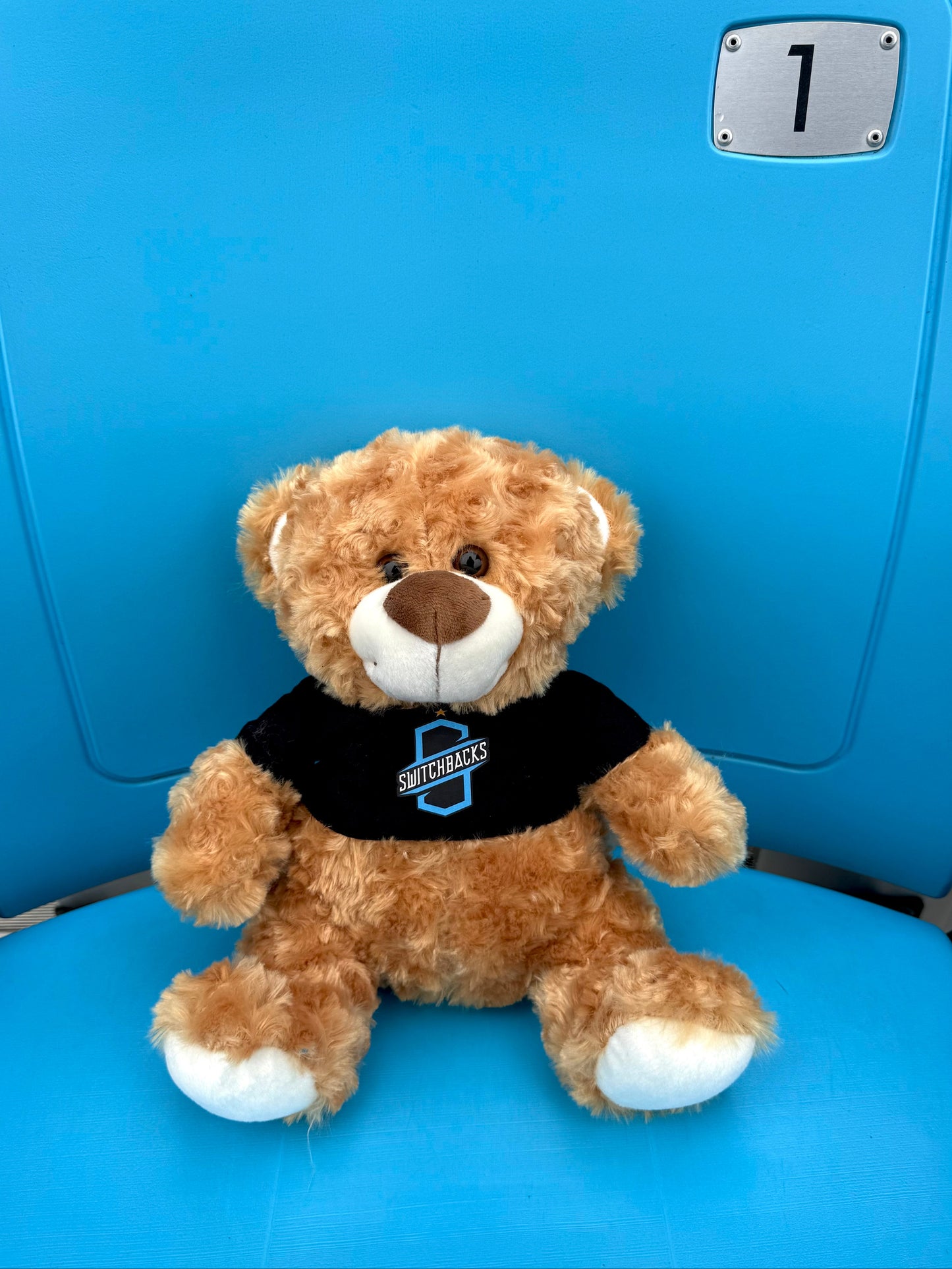 Teddy Bear with Switchbacks Shirt