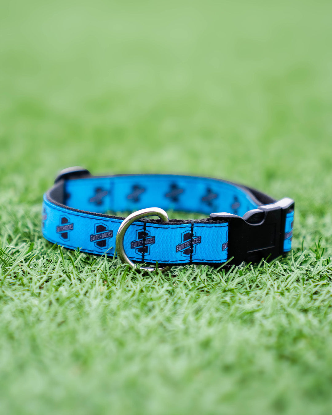 Switchbacks Pet Collar