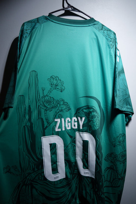 Ziggy - #00