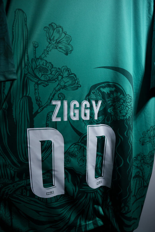 Ziggy - #00