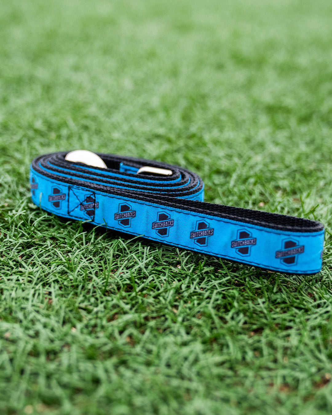 Switchbacks Pet Leash
